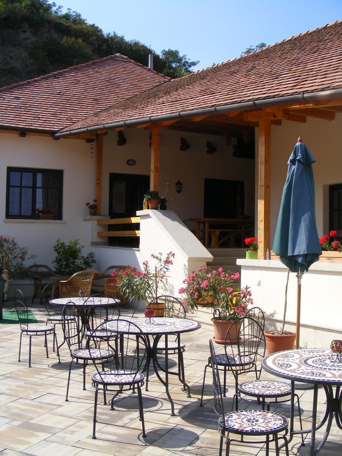 Erzsebet Pince Apartment Tokaj Exterior foto